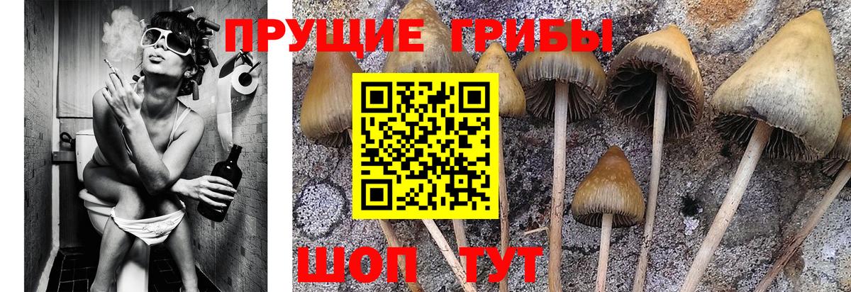 Галлюциногенные грибы ЛСД Кириши