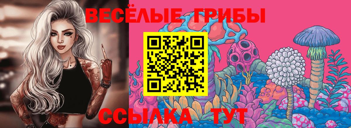 купить наркоту  Вход с VPN  Кириши  Псилоцибиновые грибы Magic Shrooms 